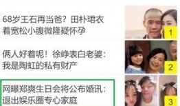 娱乐圈爆料谐音网名,谐音网名背后的秘密大揭秘