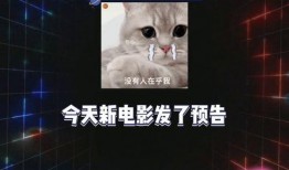 娱乐吃瓜最前线,吃瓜群众齐聚“娱乐吃瓜最前线”