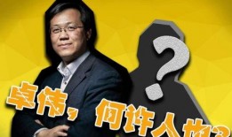 爆料娱乐圈文章大全最新