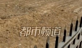 焦作武陟县爆料视频,最新爆料视频揭示惊人真相