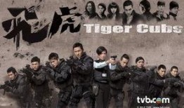 飞虎第一部在线观看