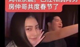宋夫人爆料合集视频下载,揭秘幕后真相，深度解析视频内容