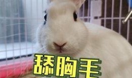 抖音网红吃瓜全集,揭秘热门事件背后的真相