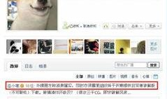 暗黑爆料新闻破解版,新闻背后的真相与内幕