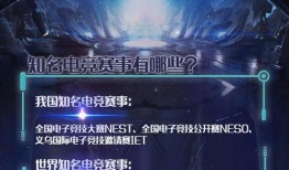 中国国家队爆料新闻,揭秘备战背后的故事与挑战